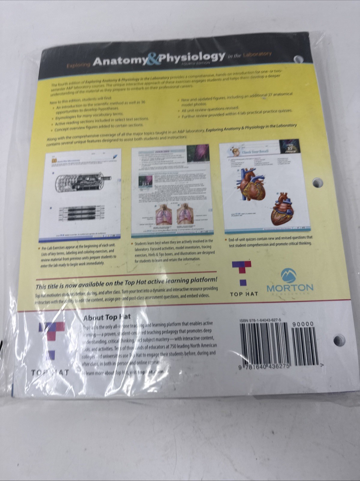 Exploring Anatomy & Physiology in the Lab… 4E. Human A&P II. *READ DESCRIPTION*