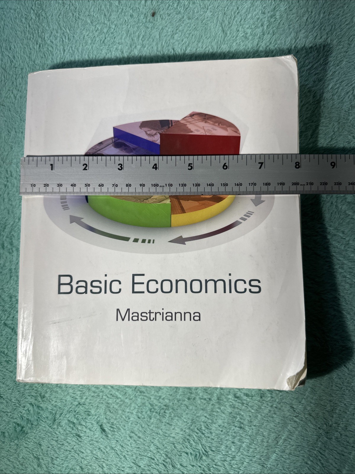 Basic Economics, Mastrianna, Frank V 15e