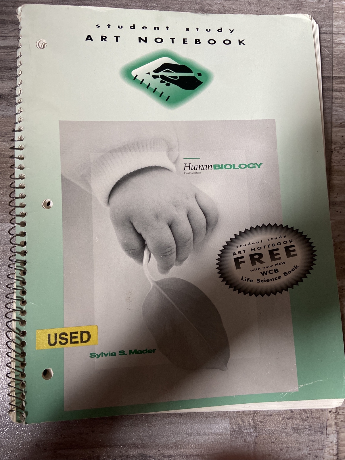 Student Study Art Notebook – Human Biology – And Student Study Guide