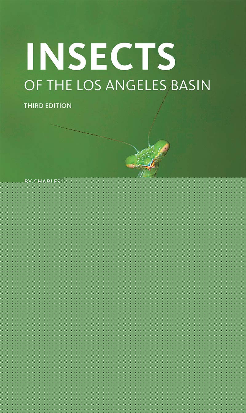 Insects of the Los Angeles Basin