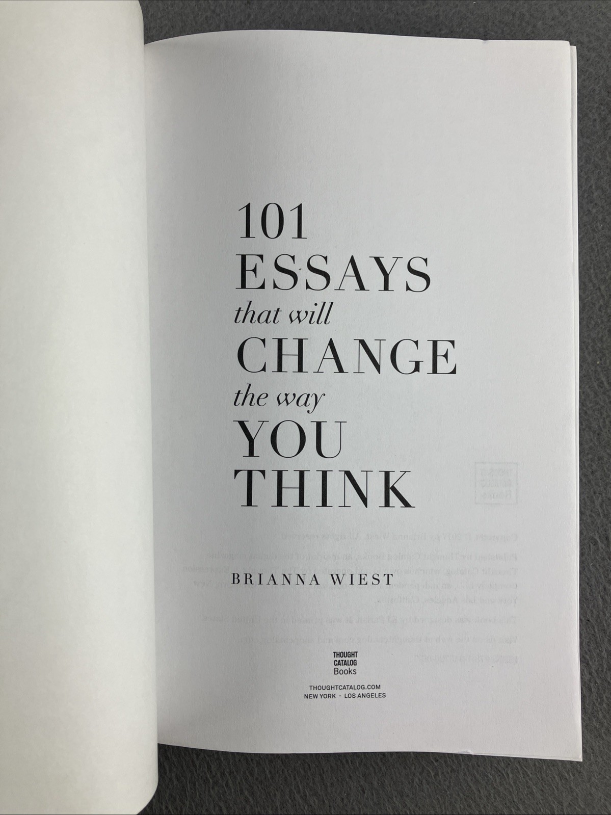 101 Essays That Will Change The Way You Think – Perfect Paperback – VERY GOOD
