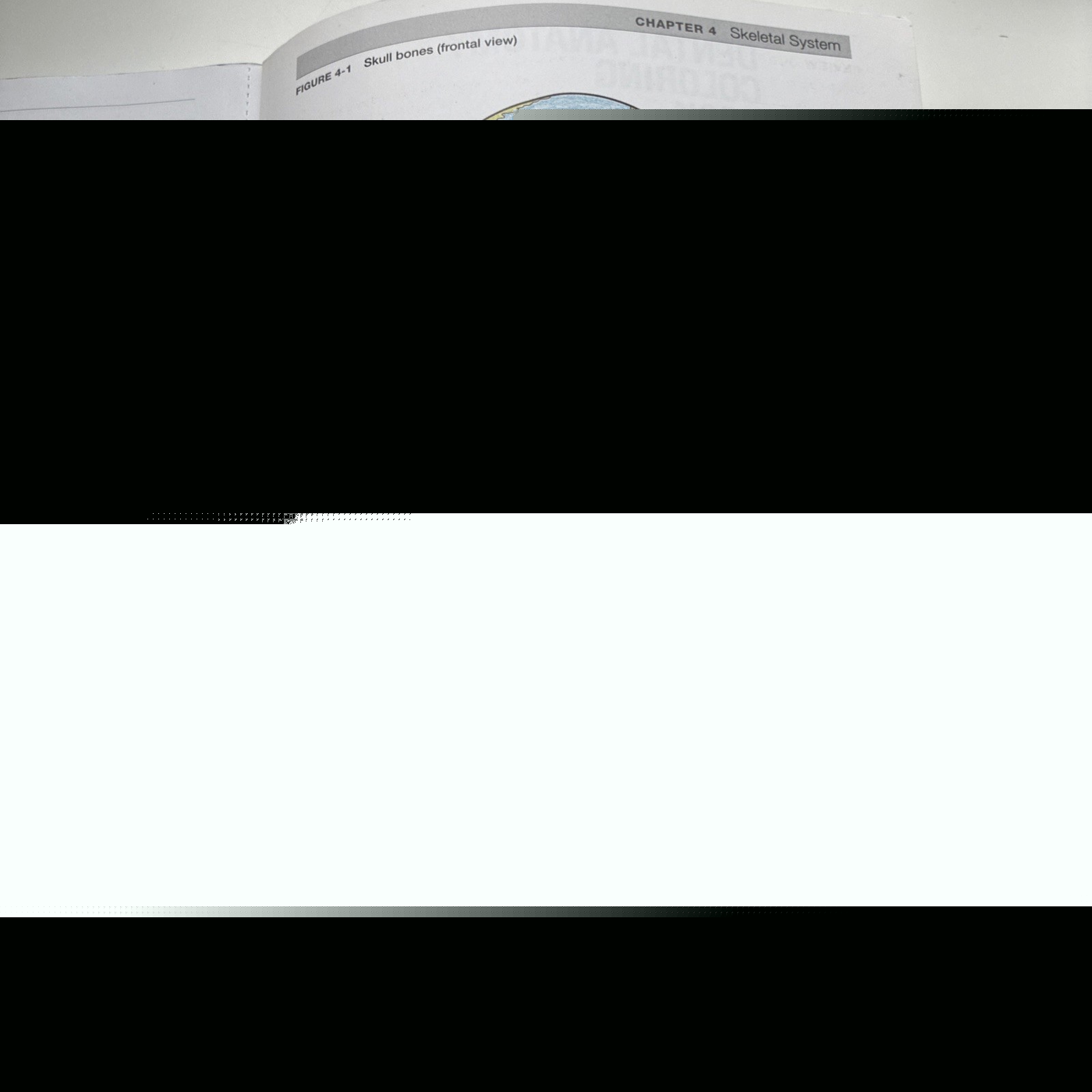 Dental Anatomy Coloring Book