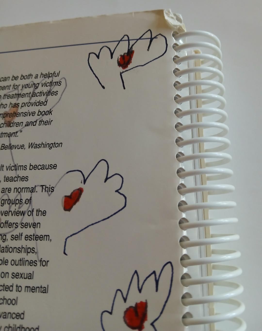 Group Work with Sexually Abused Children: A Practitioner’s Guide/Spiral/1999