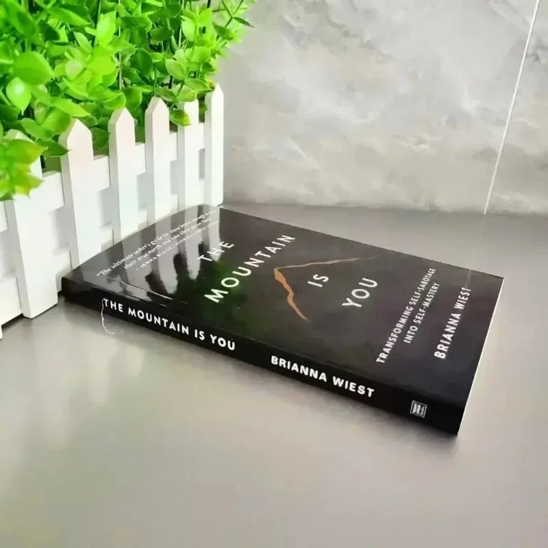 THE MOUNTAIN IS YOU BY BRIANNA WIEST USA stock Fast Shipping Paperback