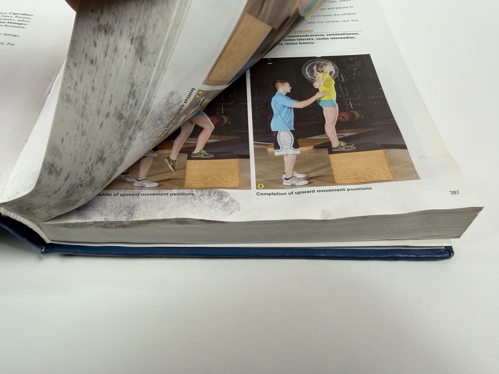 Essentials of Strength Training and Conditioning by G. Gregory Haff *READ