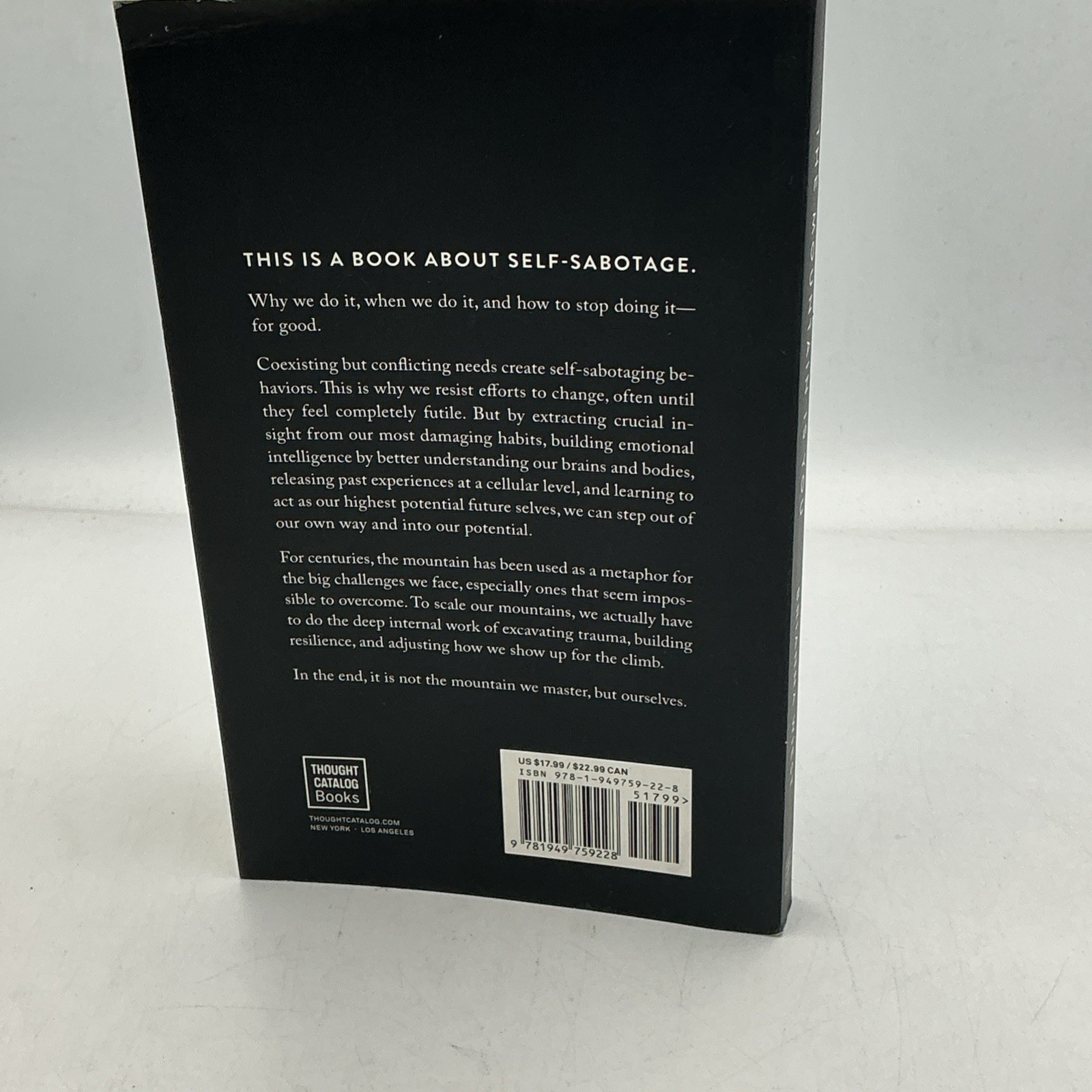THE MOUNTAIN IS YOU BY BRIANNA WIEST PAPERBACK 2020