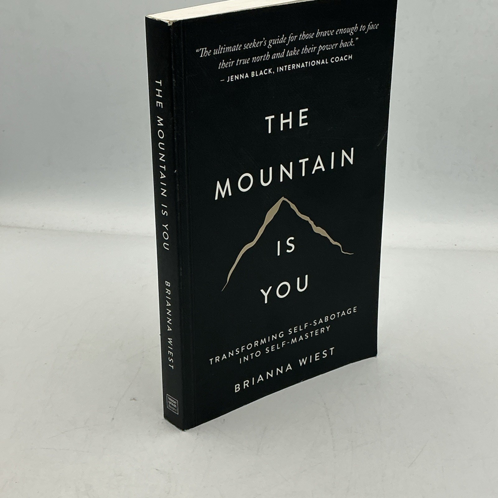 THE MOUNTAIN IS YOU BY BRIANNA WIEST PAPERBACK 2020