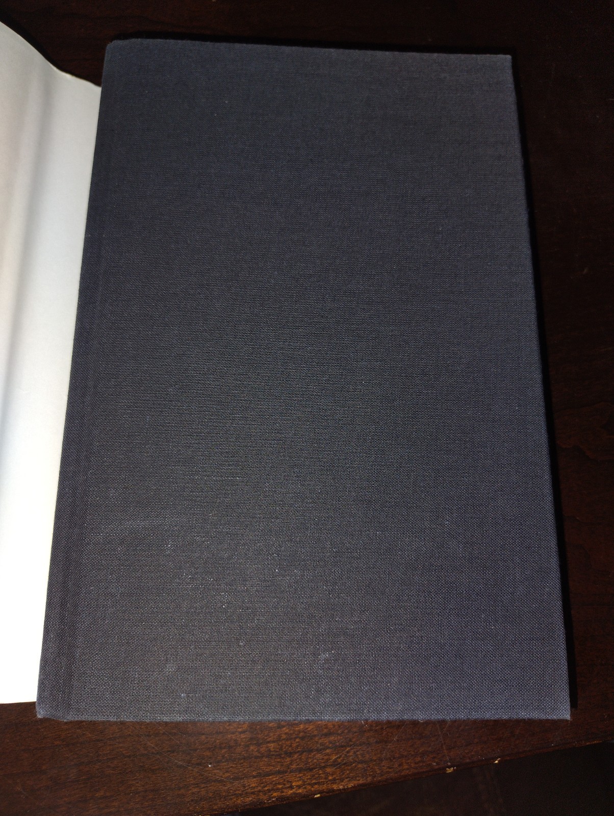 Critical Models: Interventions And Catchwords By Theodor W. Adorno ~ 1998 1st Ed