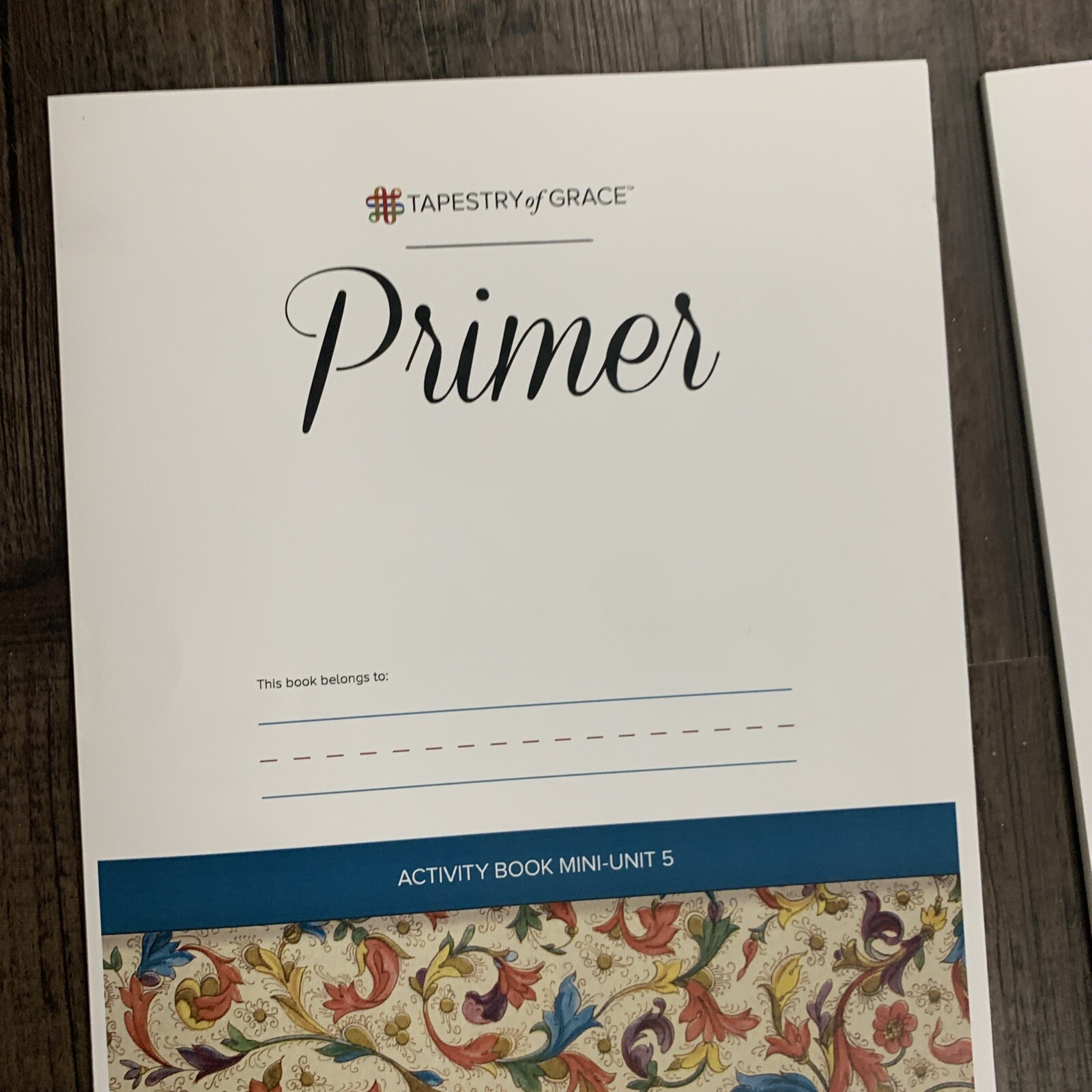 Tapestry of Grace: Primer Activity Book for Mini-Units Set – Units 4-12