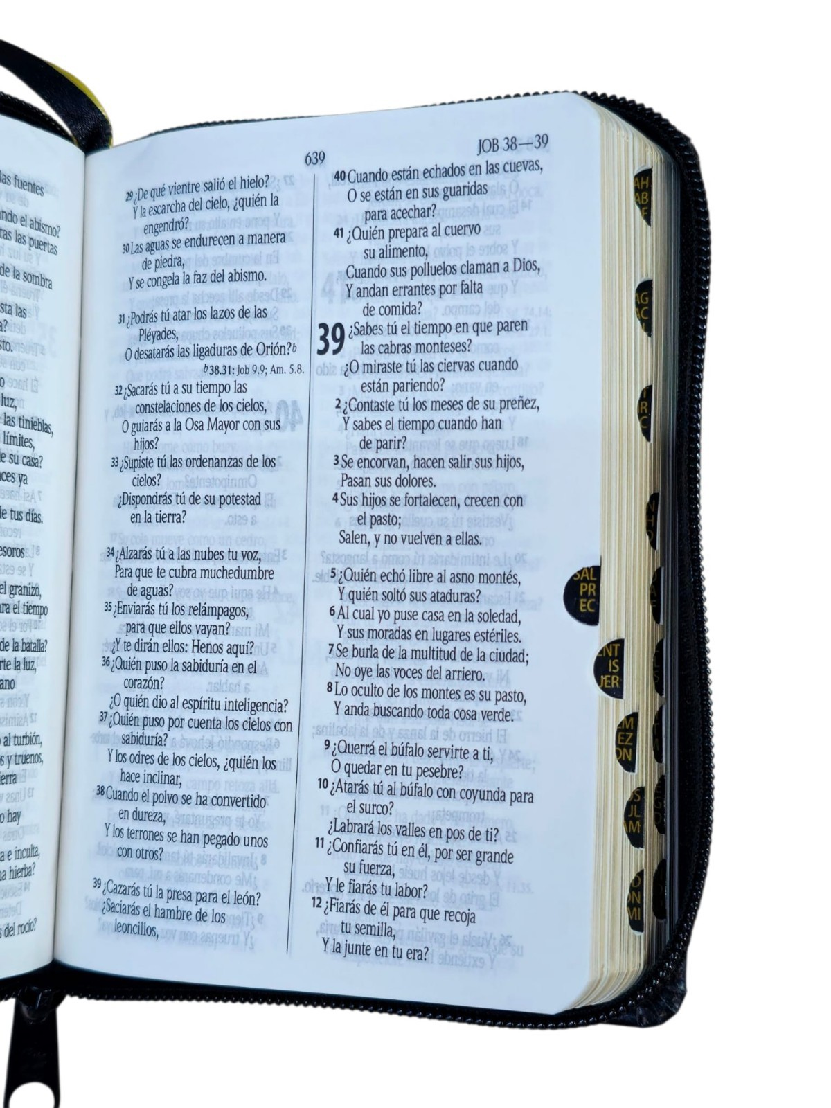 BIBLIA RVR.1960 COMPACTA, ACOLCHONADA PIEL NEGRO Con Índice Y Cierre
