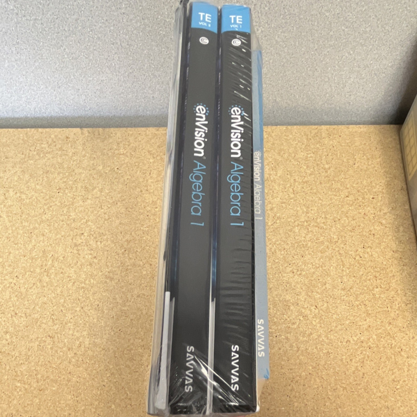 Savvas enVision Algebra 1 Teacher’s Edition 4in1 Package