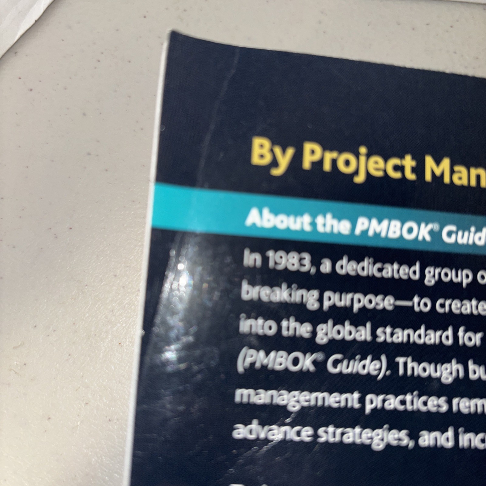 A Guide to Project Management Body of Knowledge PMBOK GUIDE 6th Edition- Damaged