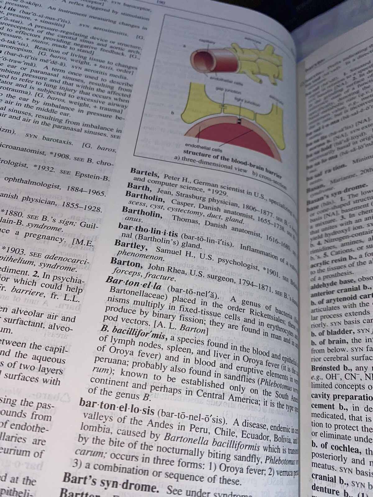 Medical Dictionary PDR Information Terminology 1st Reference