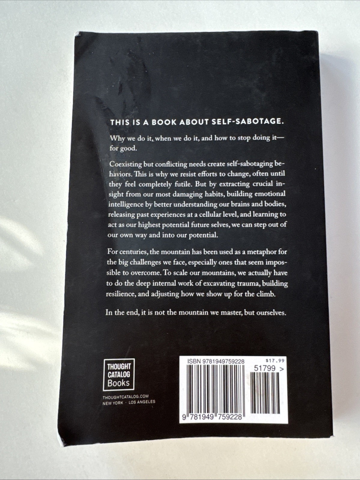 Mountain Is You : Transforming Self-Sabotage into Self-Mastery by Brianna Wiest