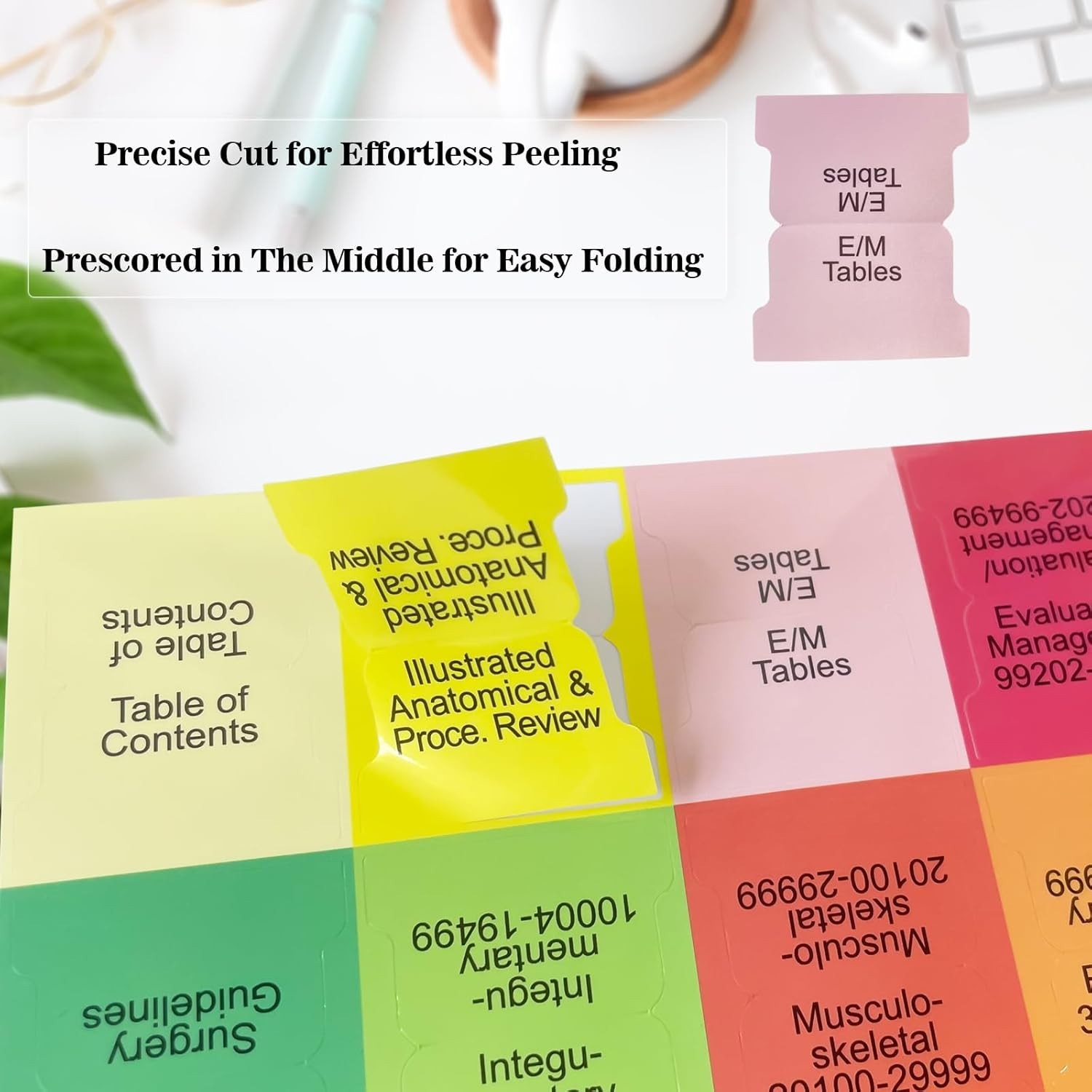 Professional Edition Index Tabs, 96 Dividers