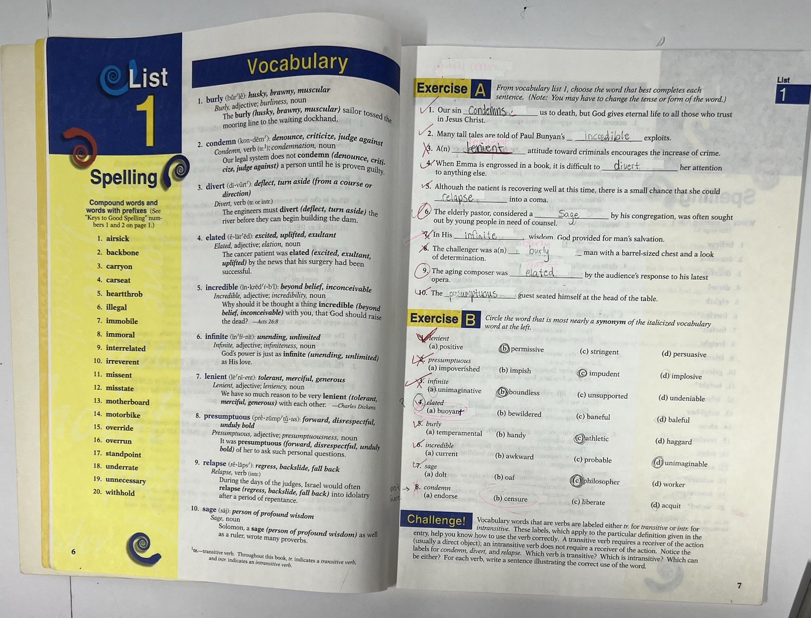 Abeka English 9 SET Grammar III Themes in Literature Vocabulary 3 (old edition)