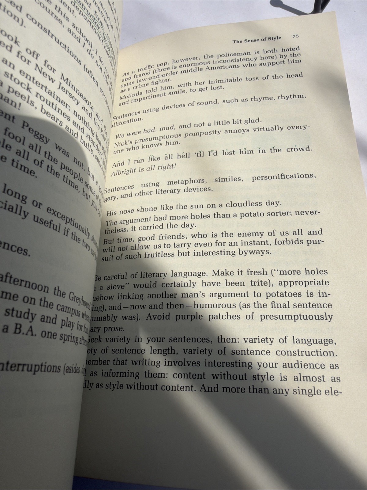 Writing Sense : A Handbook of Composition by David R. Pichaske (1975, Trade…