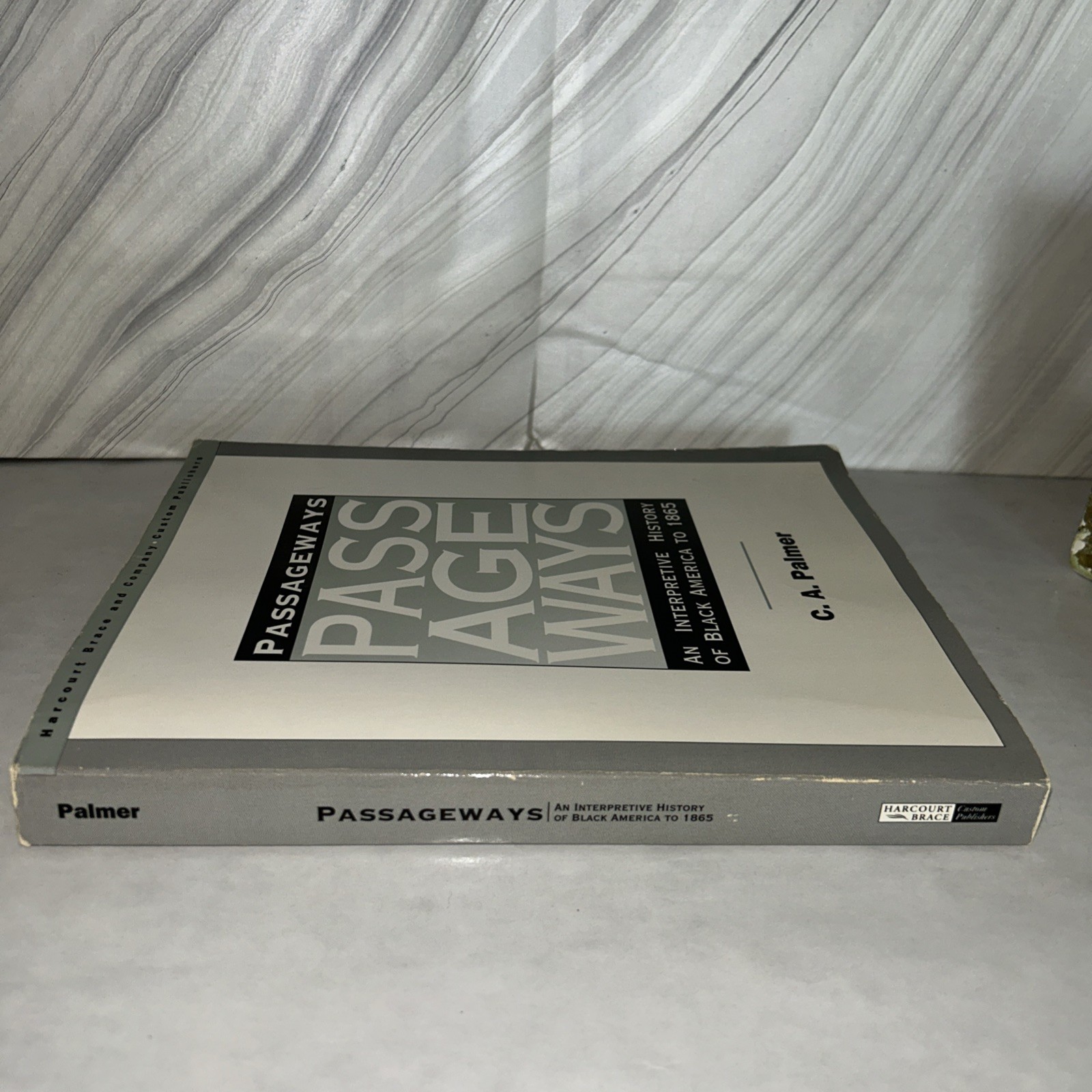 Passageways An Interpretive History Of Black America To 1865 by C.A. Palmer K2