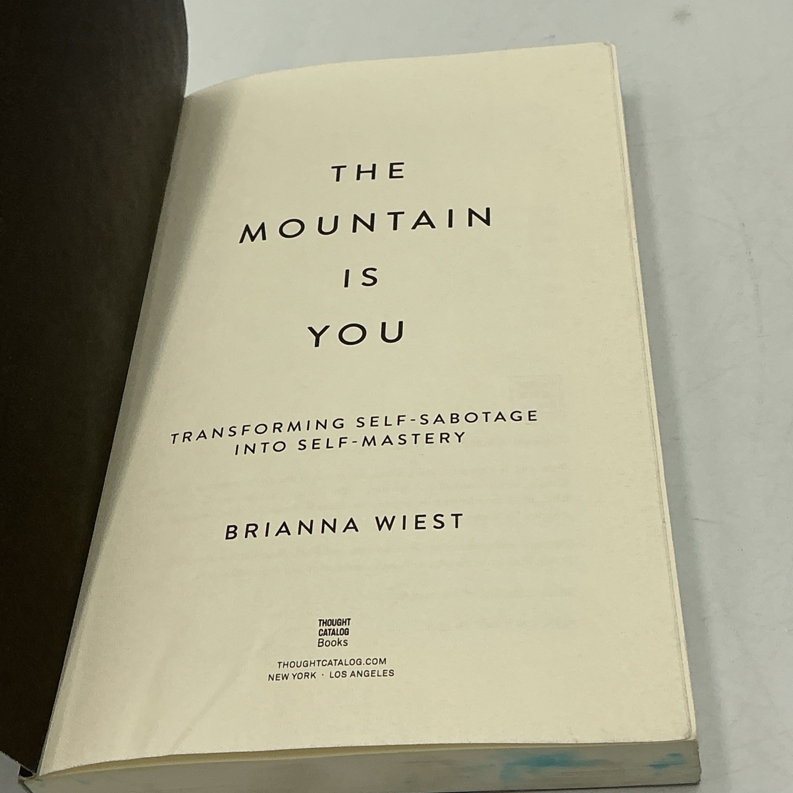 THE MOUNTAIN IS YOU BY BRIANNA WIEST PAPERBACK 2020