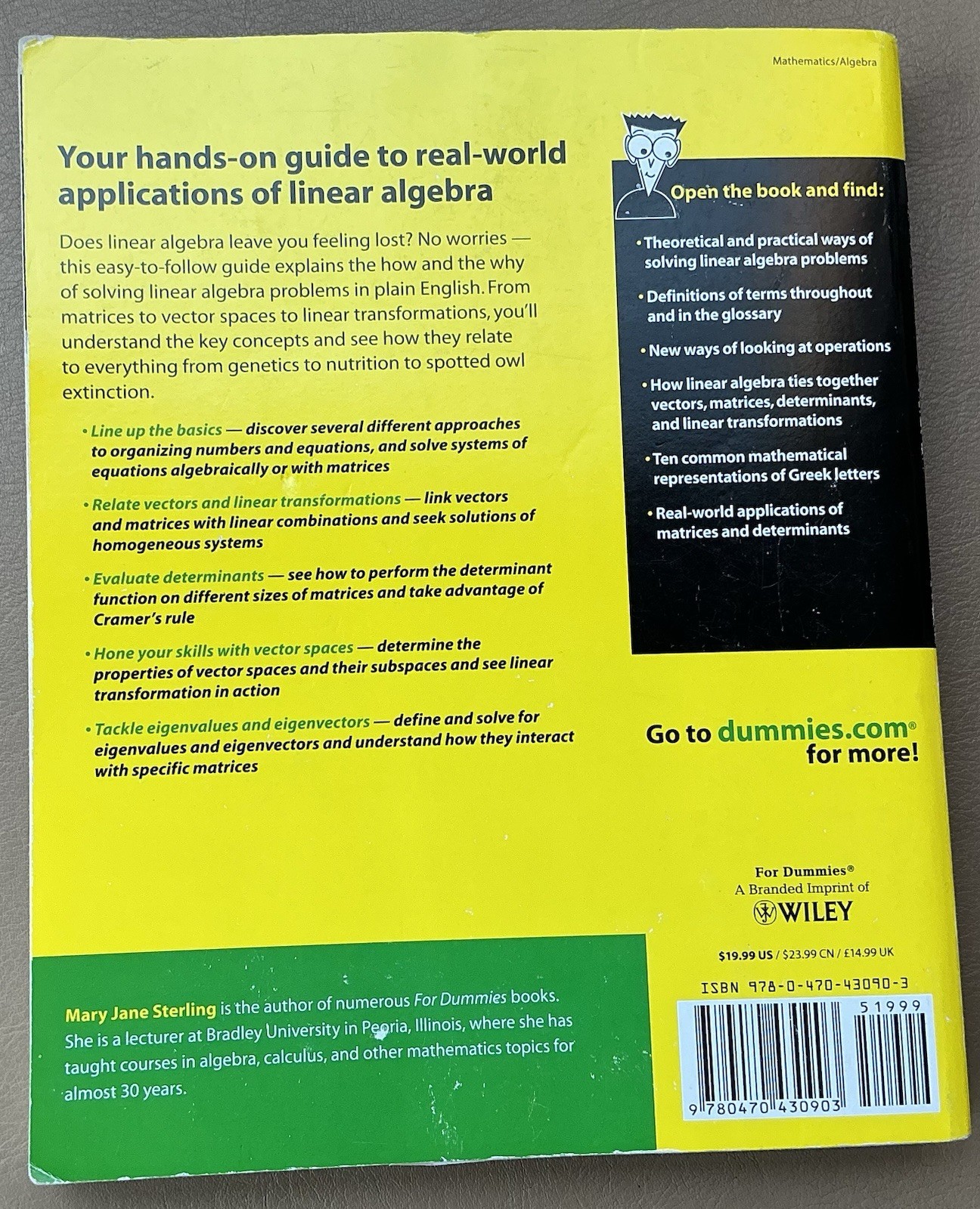 Linear Algebra For Dummies by Mary Jane Sterling
