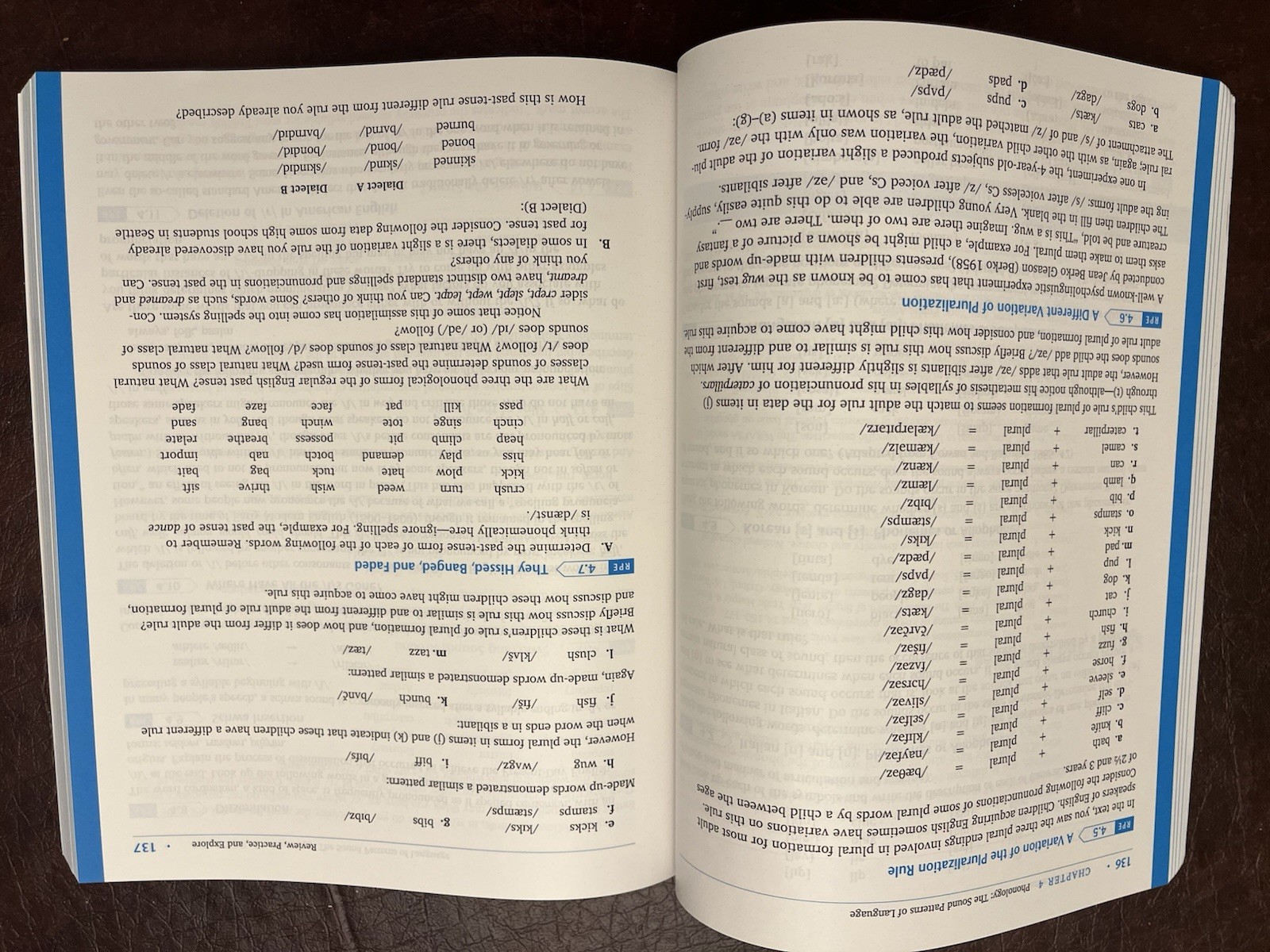 Linguistics for Everyone : An Introduction by Kristin Denham and Anne Lobeck