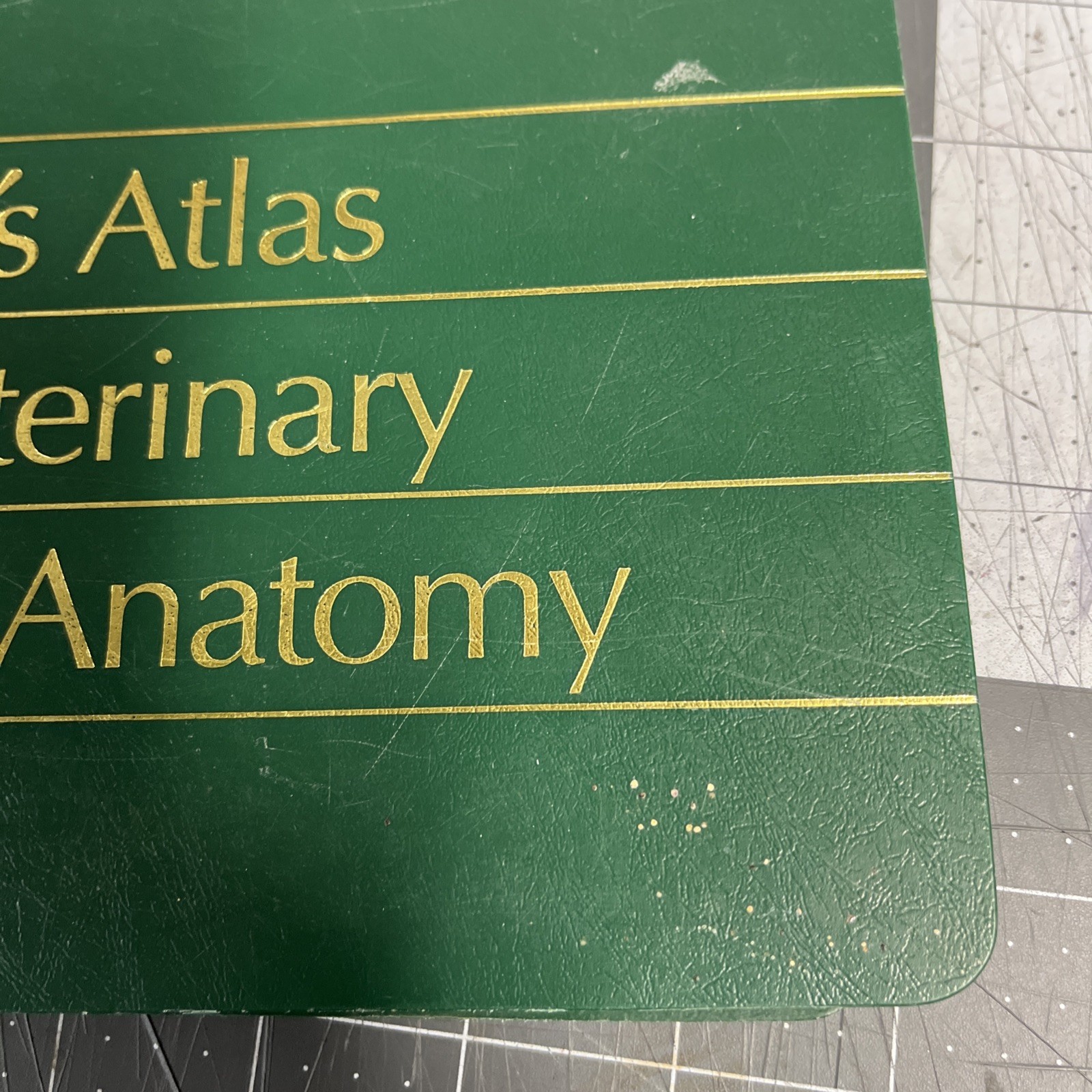 Hill’s Atlas Of Veterinary Clinical Anatomy (1989 Spiral Bound) Cats Dogs Pets