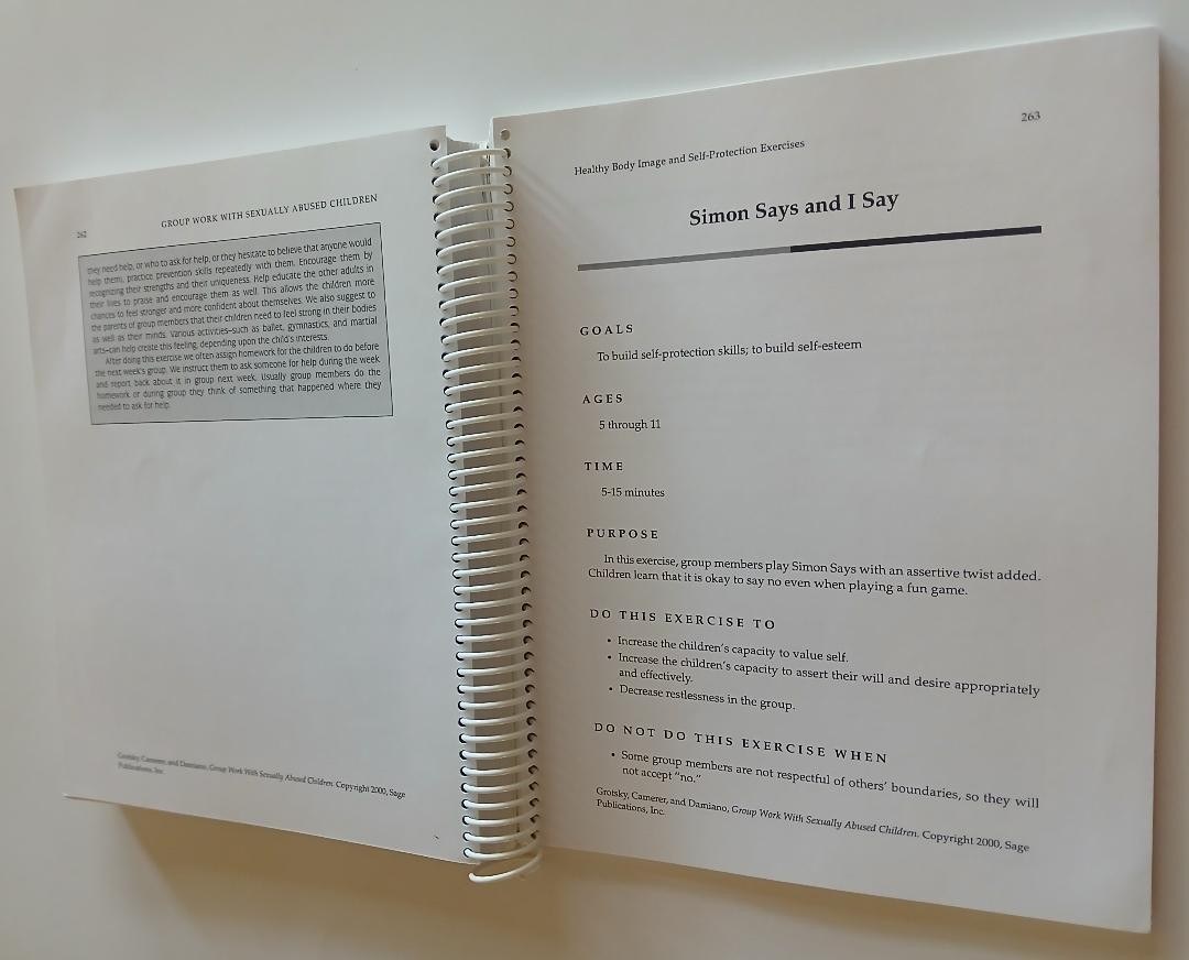Group Work with Sexually Abused Children: A Practitioner’s Guide/Spiral/1999