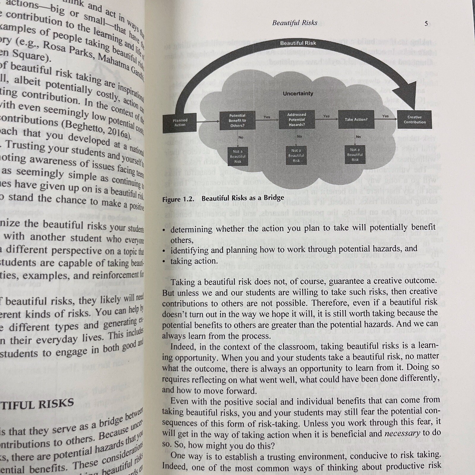 Beautiful Risks : Having the Courage to Teach and Learn Creatively, Paperback