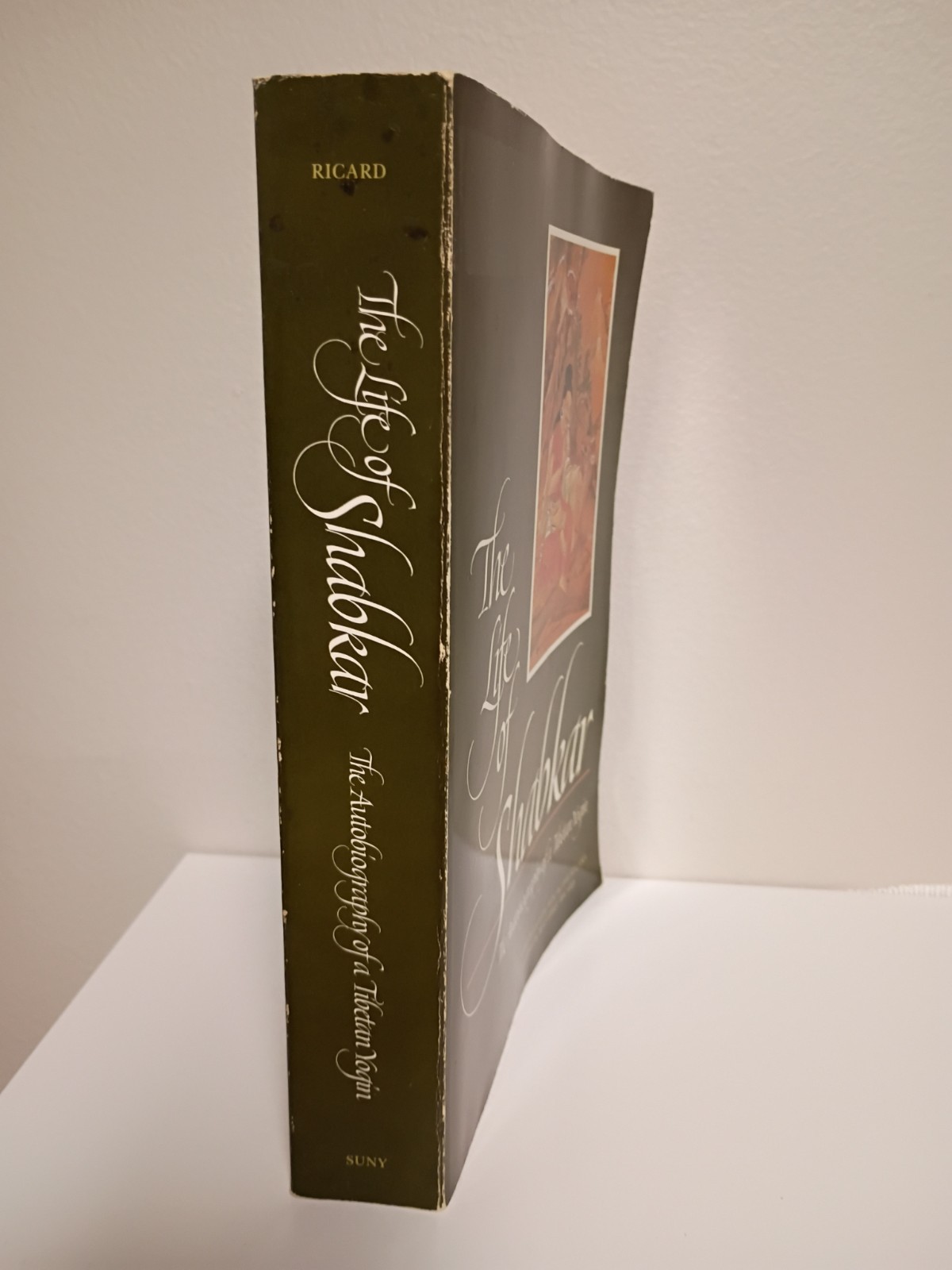 The Life of Shabkar: The Autobiography of a Tibetan Yogin Vintage Paperback