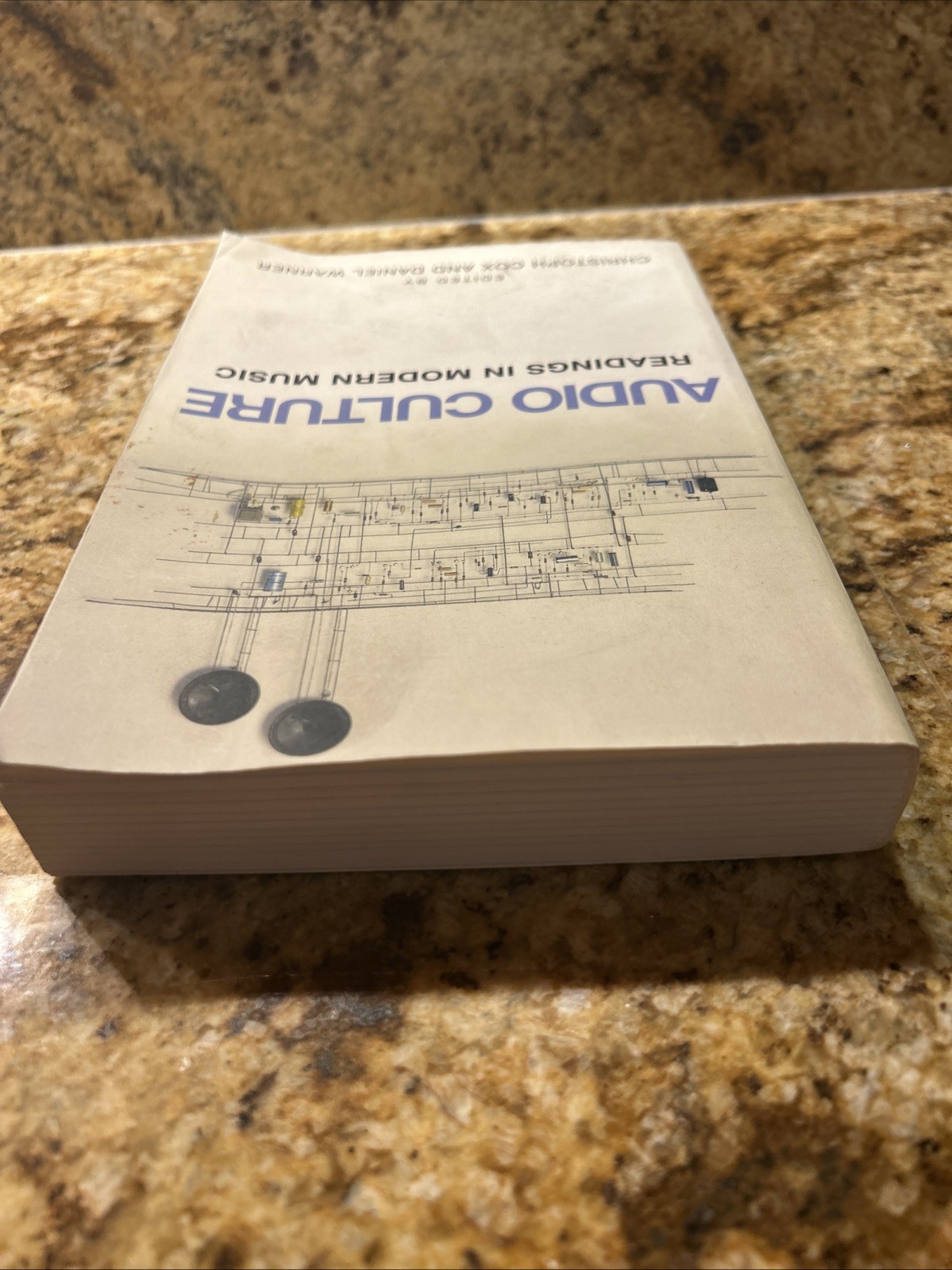 Audio Culture: Readings in Modern Music by Christoph Cox and Daniel Warner