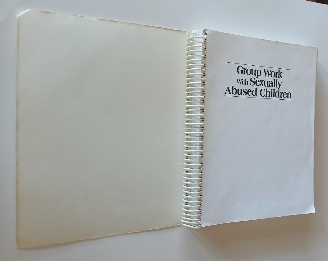 Group Work with Sexually Abused Children: A Practitioner’s Guide/Spiral/1999
