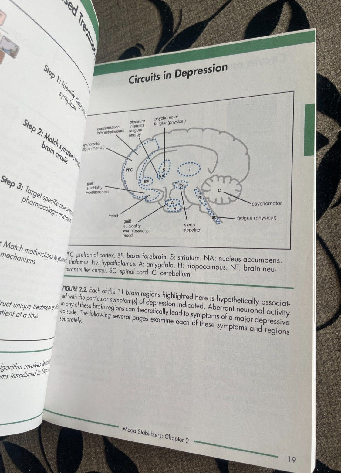 STEPHEN M. STAHL. STAHL’S ILLUSTRATED. MOOD STABILIZERS. 9780521758499