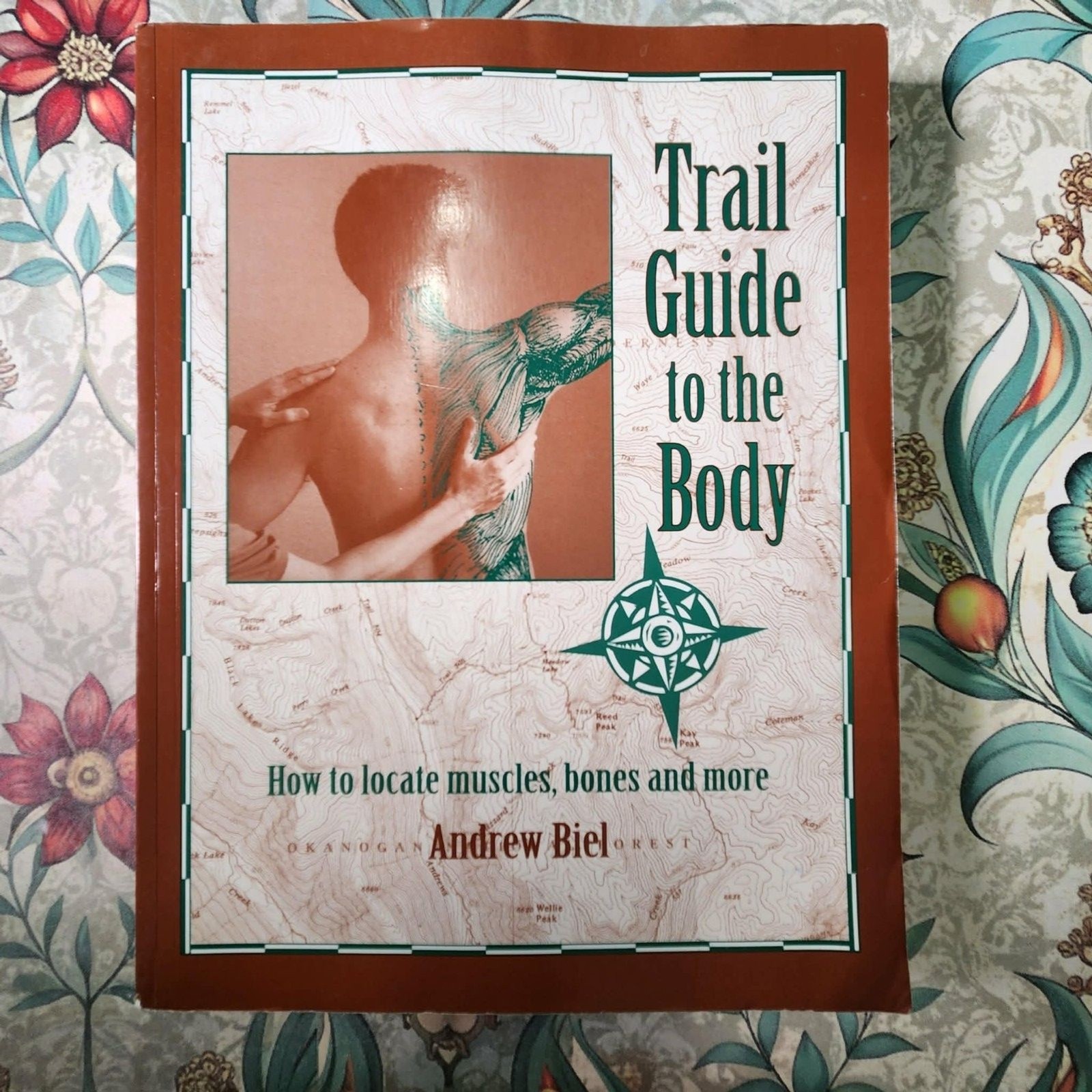 Trail Guide to the Body A&P Texbook+WorkBook & Coloring + Cards: WOW Lot of 5!!