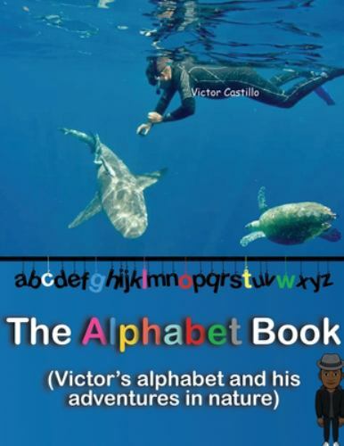 The Alphabet Book Large type / large print ed by Castillo, Victor I, Like New…