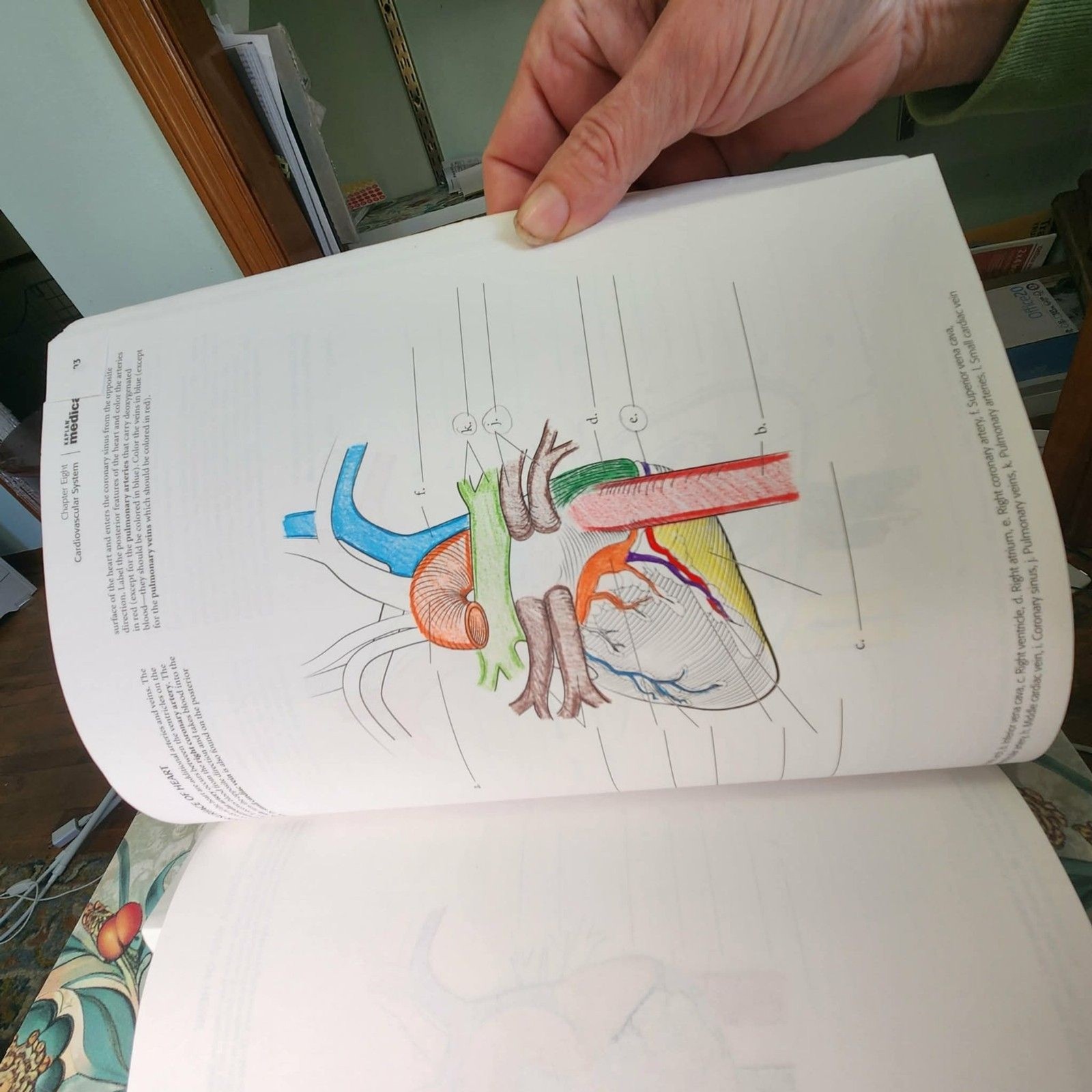 Trail Guide to the Body A&P Texbook+WorkBook & Coloring + Cards: WOW Lot of 5!!