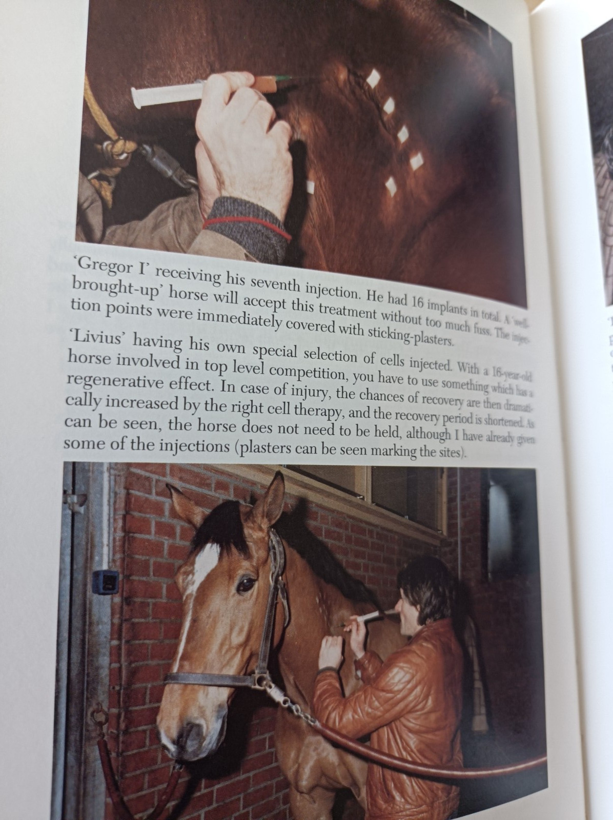 Naturopathy for Horses by Gerd Emich. Like new condition