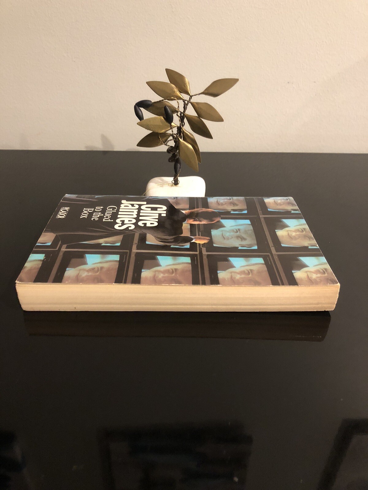 Clive James (1939-2019) Glued To The Box Picador 1983 First Edition S/C V/G