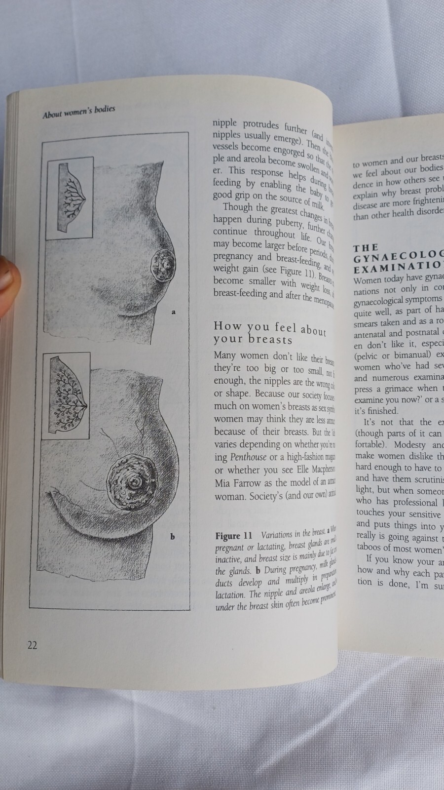Used Book Penguin Guide to Women’s Health Australian 440 pages Very Good
