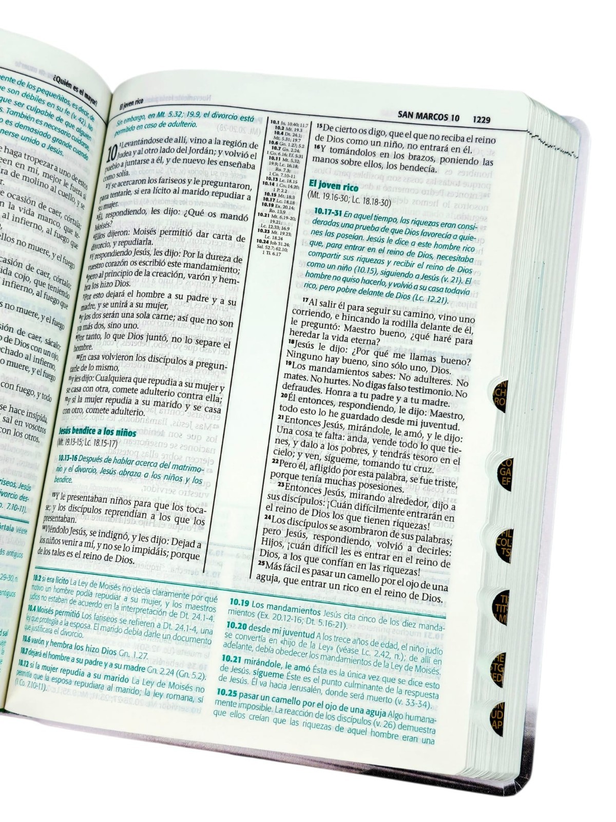 Biblia de Estudio Esquematizada Letra Grande RV1960, imit. piel con índice