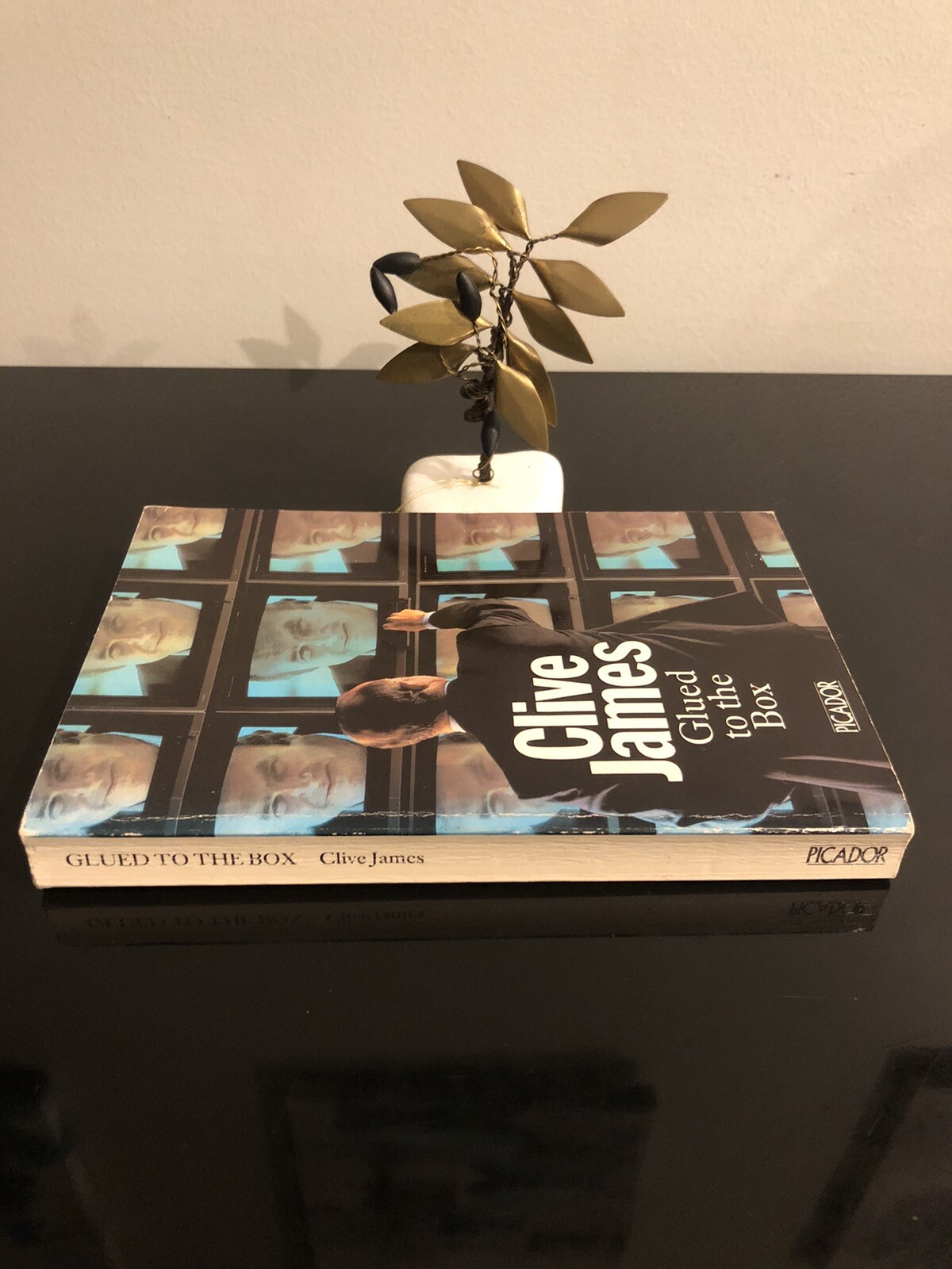 Clive James (1939-2019) Glued To The Box Picador 1983 First Edition S/C V/G