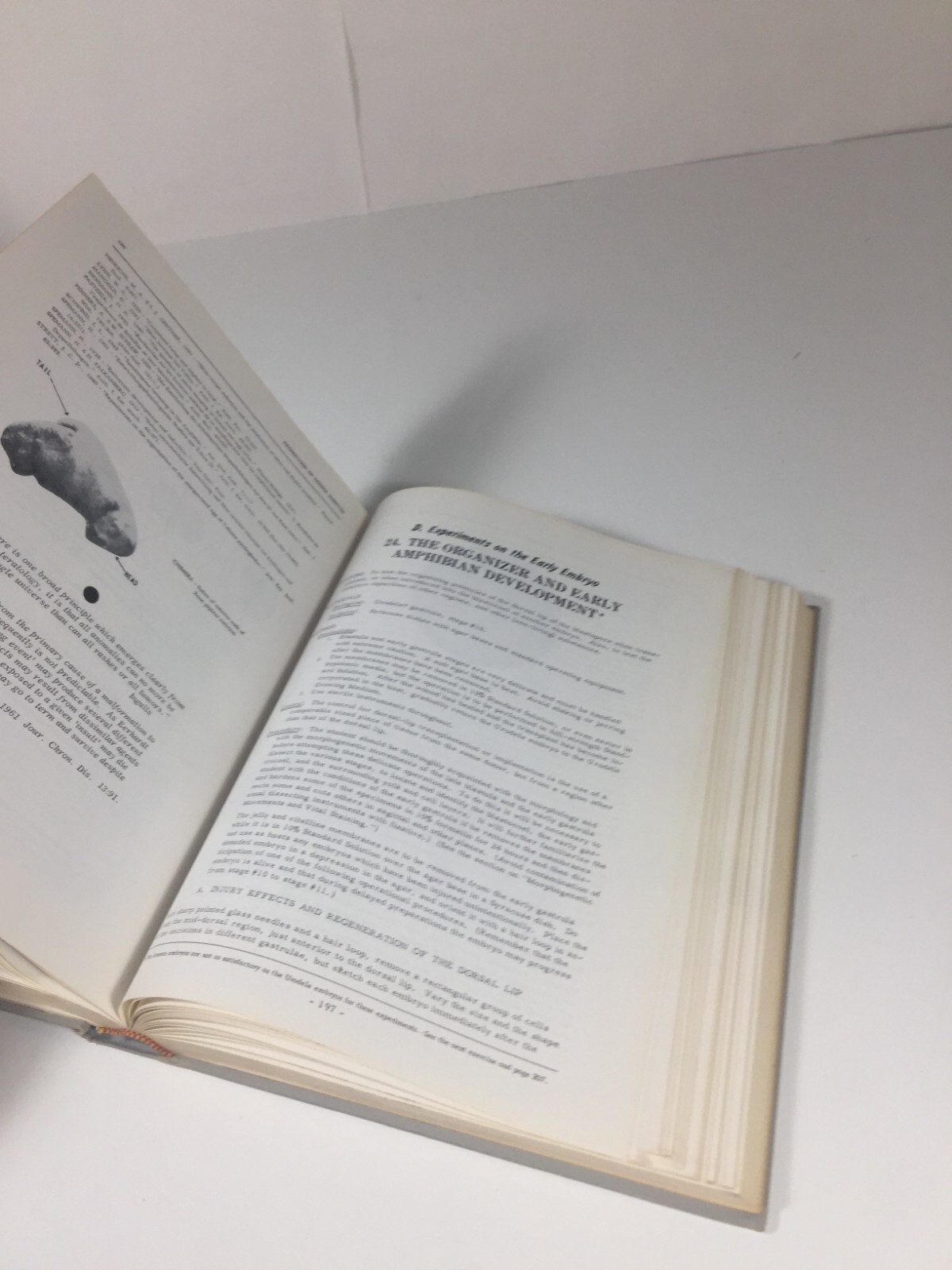 Roberts Rugh – Experimental Embryology 1962 / 65 Minneapolis Burgess Pub. Co