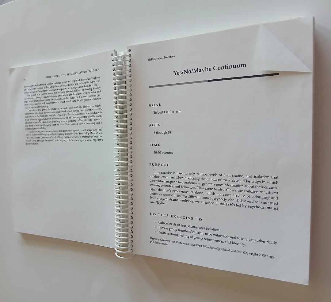 Group Work with Sexually Abused Children: A Practitioner’s Guide/Spiral/1999