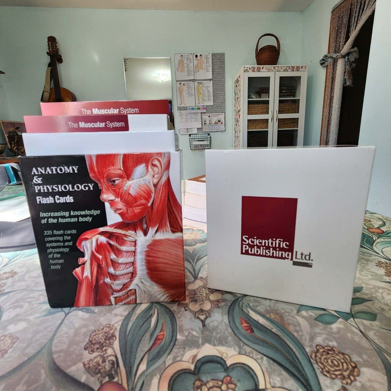 Trail Guide to the Body A&P Texbook+WorkBook & Coloring + Cards: WOW Lot of 5!!