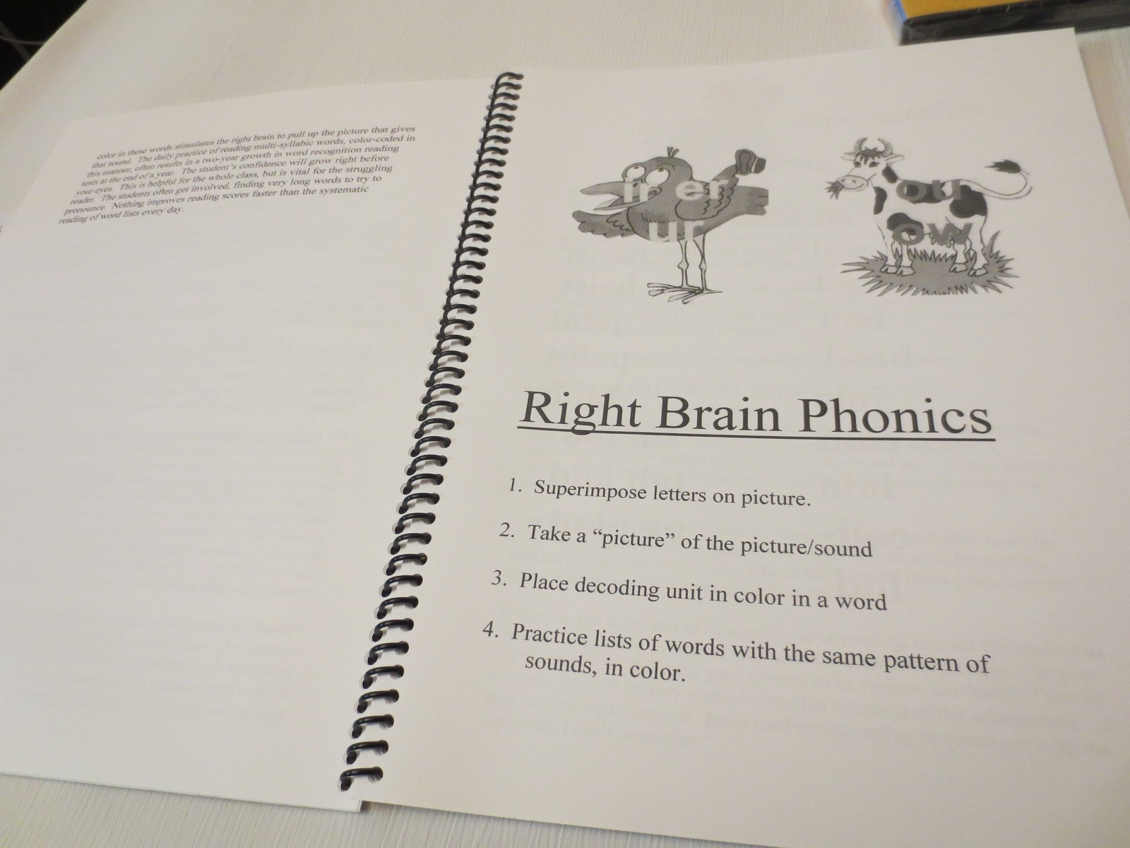 TEACHING THE RIGHT BRAIN CHILD, Study Guide+DVD set, Dianne Craft, math/phonics