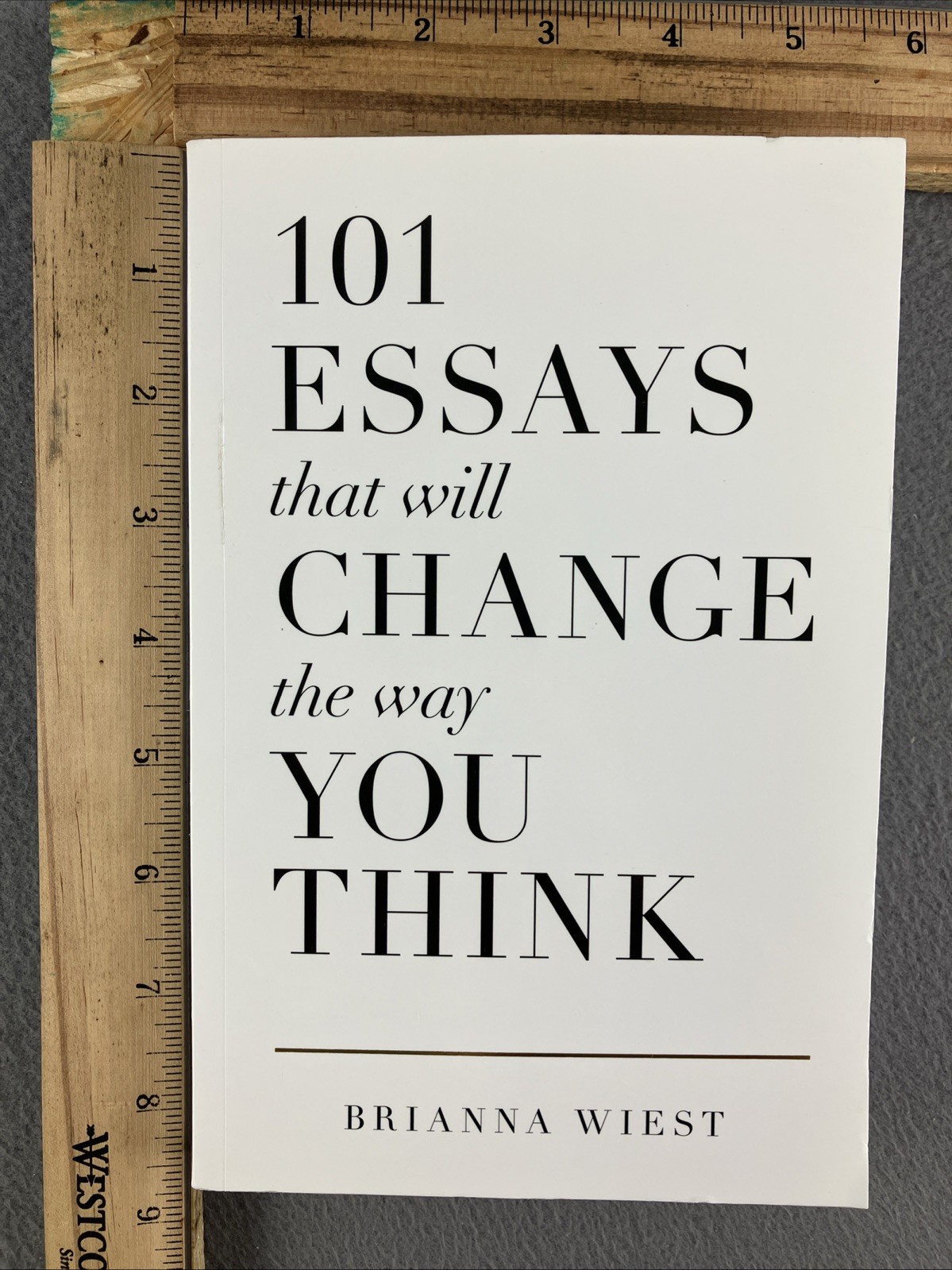 101 Essays That Will Change The Way You Think – Perfect Paperback – VERY GOOD
