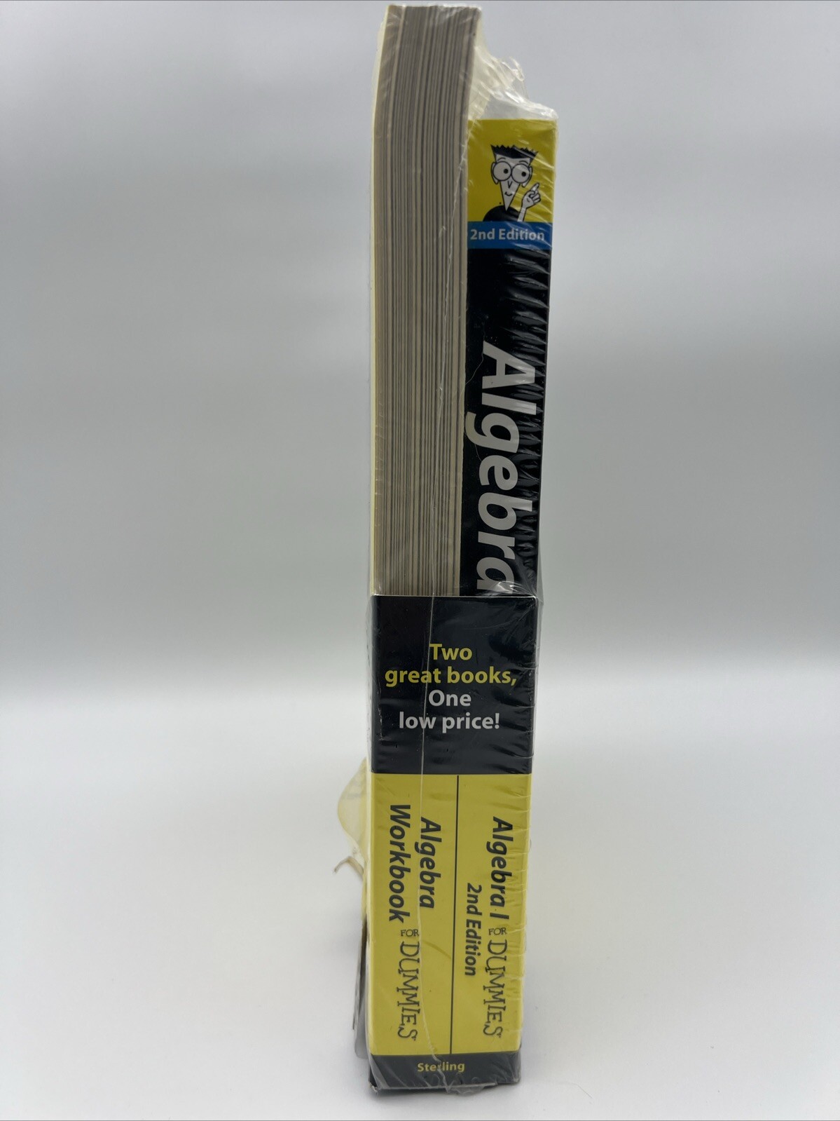 Algebra I by Mary Jane Sterling (2010, Trade Paperback)