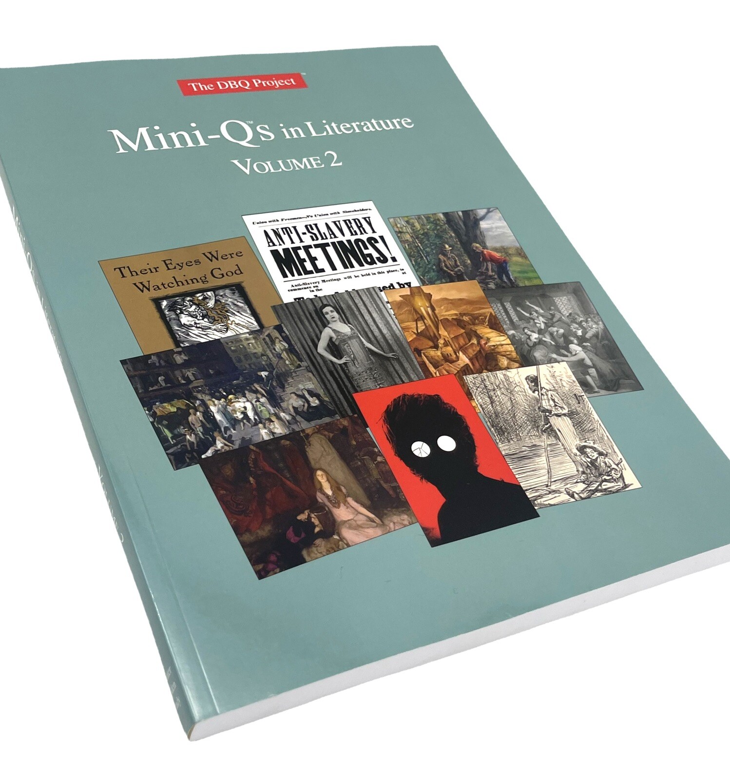 The DBQ Project Mini-Qs in Literature Volume 2 Ten High-Interest Units of Study