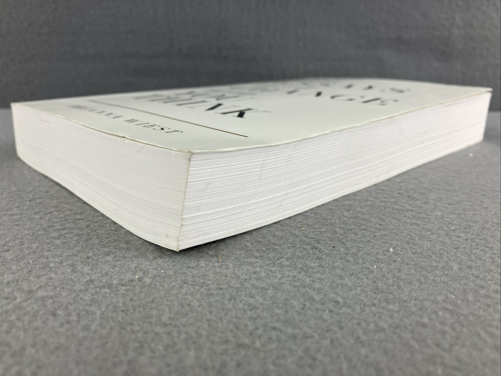 101 Essays That Will Change The Way You Think – Perfect Paperback – VERY GOOD