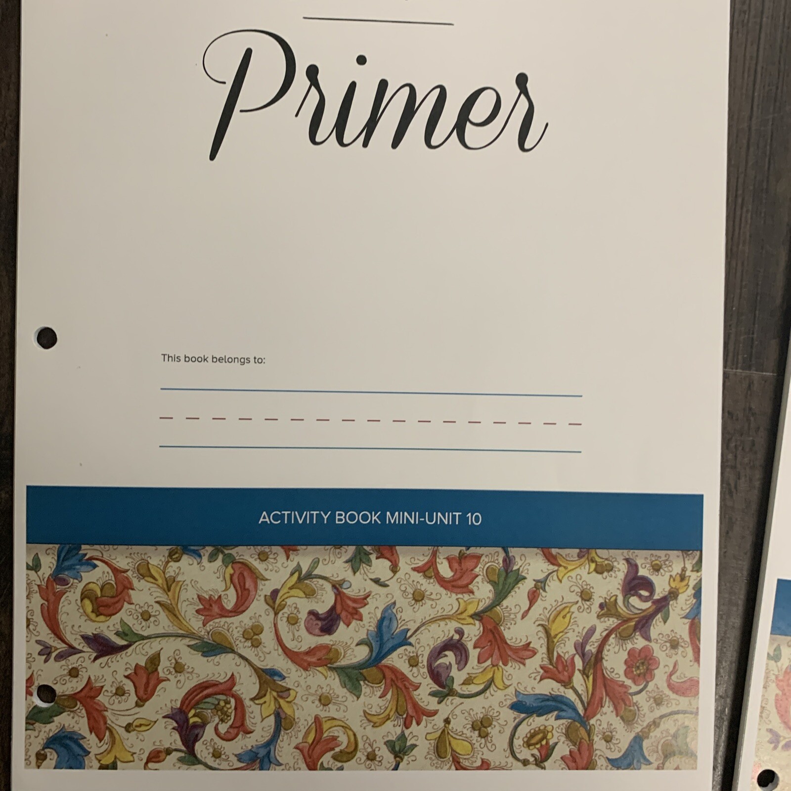 Tapestry of Grace: Primer Activity Book for Mini-Units Set – Units 4-12
