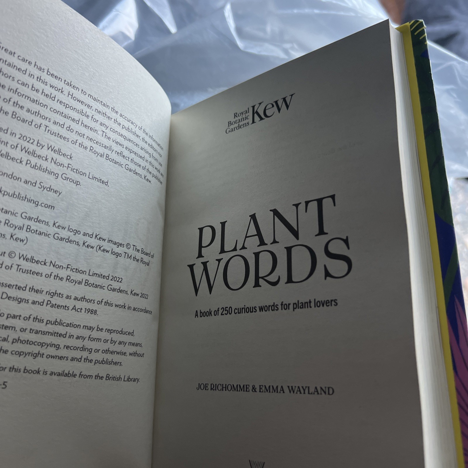 Kew – Plant Words: A book of 250 curious words for plant lovers | Hardcover